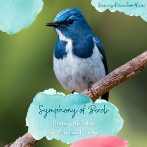 心地よい夢～鳥たちのシンフォニー～