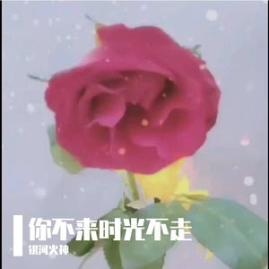 你不来时光不走