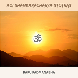 Shivanamavalyashtakam