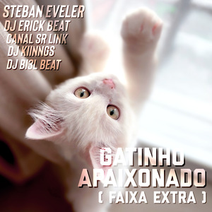 Gatinho Apaixonado Speed (Remix)