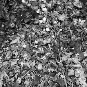 关于青春的自我幻觉