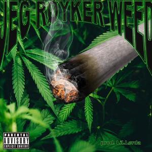 JEG RØYKER WEED (feat. KingSkurkOne & Moggger)