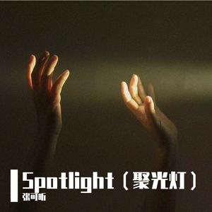 Spotlight（聚光灯）