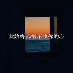 我始终都捂不热你的心