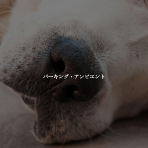 Easy Ambiance for Refreshing and Inspired