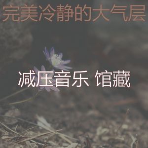 一尘不染冷静的印象数