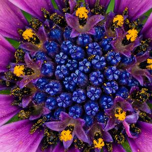 鲁郡东石门送杜二甫