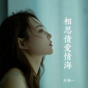相思债爱情海 (DJ版)
