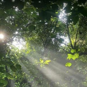 萌芽的絮语与大地的心跳