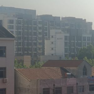墨香绽放时