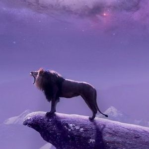 云端告白日-画界