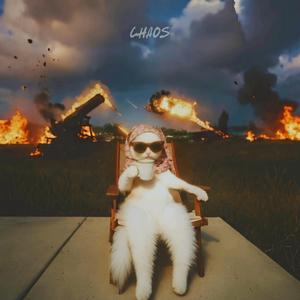 Chaos