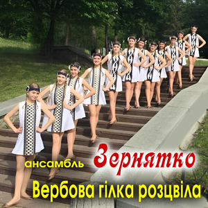 Вербова гілка розцвіла