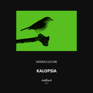 Kalopsia