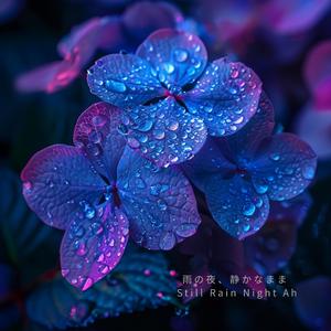 紫陽花と雨の夜、少しだけ – Quiet Hydrangea Rain Night Ah
