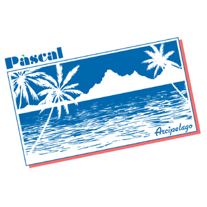 N.D.S. (Disco Version)