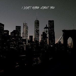 I Didn't Know About You