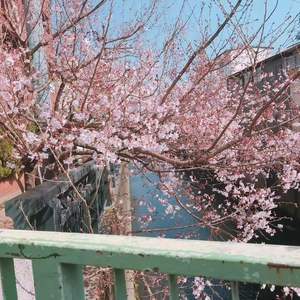 我知影我没法度改