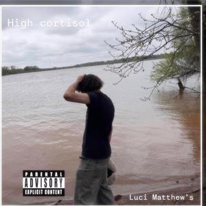 High cortisol