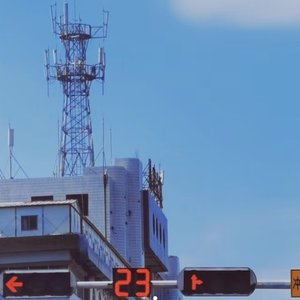 两棵树（翻自 张子薇）