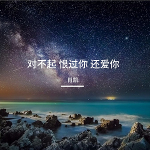 对不起 恨过你 还爱你 伴奏
