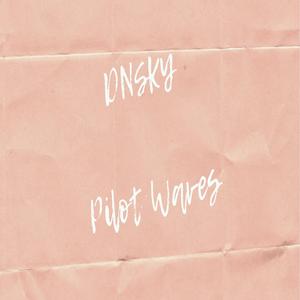 Pilot Waves