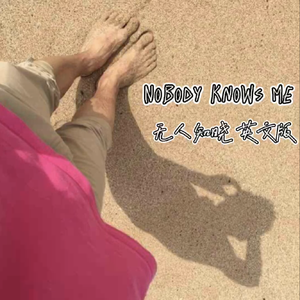 无人知晓 (英文版) - Nobody Knows Me