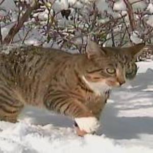 I'm glad we could share this day together