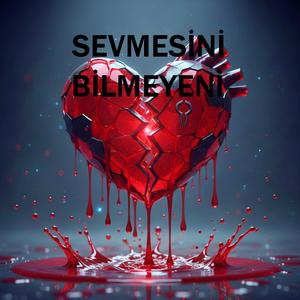 Sevmesini Bilmeyeni