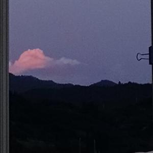 心动至上（Prod. Gr33nart Beats）