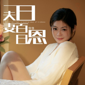 一日夫妻百日恩 (DJ光波版)