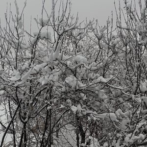 放手是最后的清醒