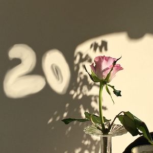 飘在半空中的人