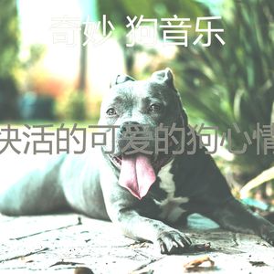 有趣幼犬情怀