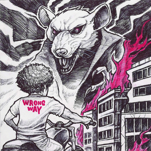 Wrong Way
