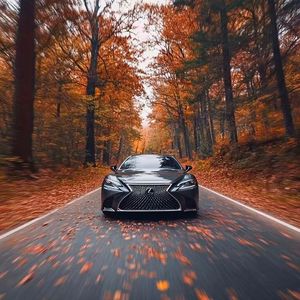 二零三 (自毛不易)