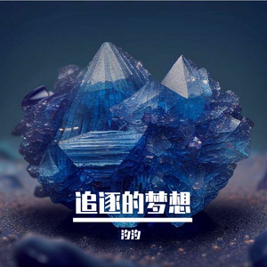 追逐的梦想