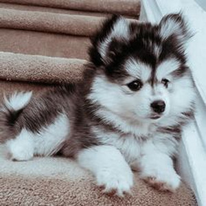 Washing machine heart (Sped Up)