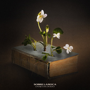 Sobre La Roca (con Miel San Marcos)