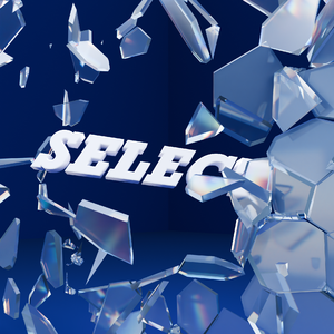 选择（Prod.掌牛ZN）