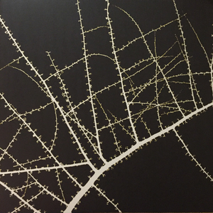 Descending Moonshine Dervishes