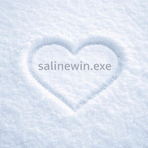salinewin.exe