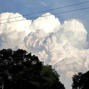 陪我过个冬dj版