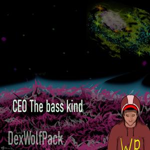 CEO the bass kind