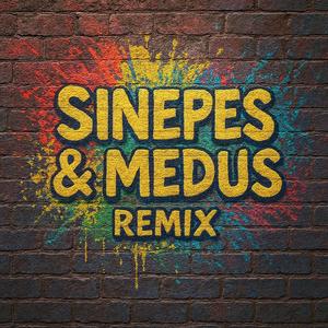 Sinepes & Medus (NAVROKU REMIX)