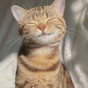 #proudcatownerremix (slowed)