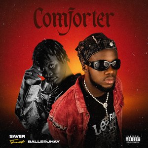 Comforter