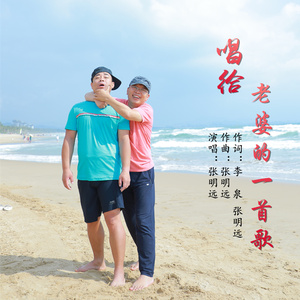 唱给老婆的一首歌