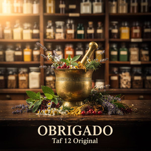 Obrigado (Taf 12 Original Mix)