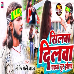 silwa dilwa chakna chur hoval